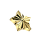 G23 Titanium Diamond Cut Star Tragus Top