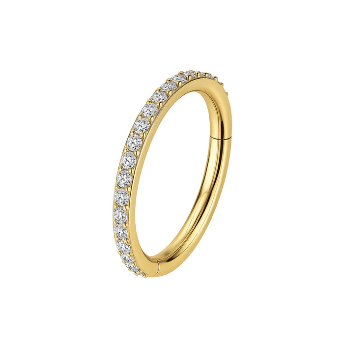 316L Surgical Steel Micro Setting CZ Stones in Hinged Segment Clicker Ring