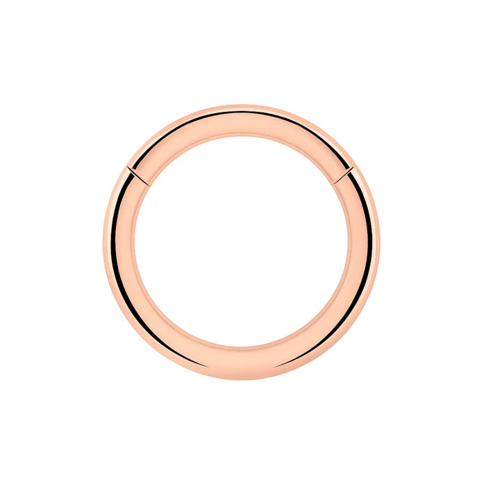 925 Sterling Silver Classic Hinged Segment Clicker Ring