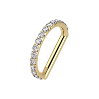 G23 Titanium CZ Paved D-Shaped Hinged Segment Clicker