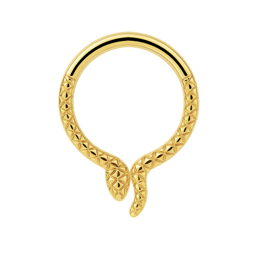 G23 Titanium Snake Design Segment Clicker Ring - Monster Piercing