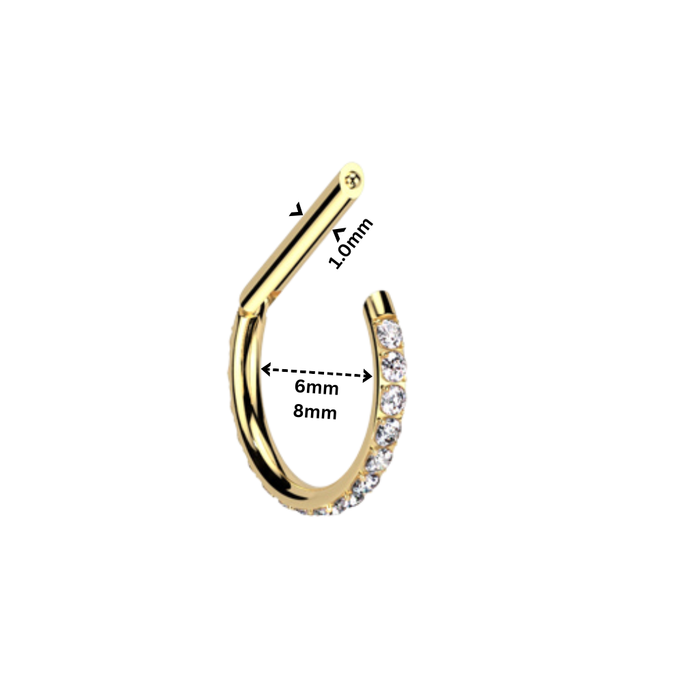 G23 Titanium CZ Paved D-Shaped Hinged Segment Clicker