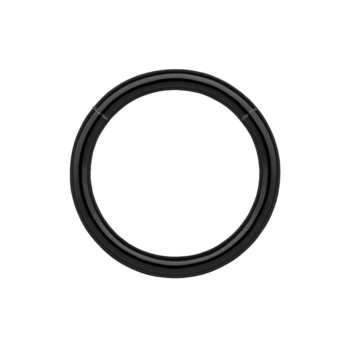 316L Surgical Steel 16G Hinged Segment Clicker Ring