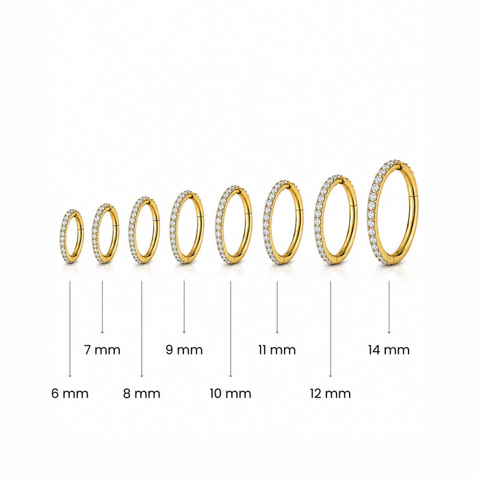 G23 Titanium Micro Setting CZ Stones in Hinged Segment Clicker Ring