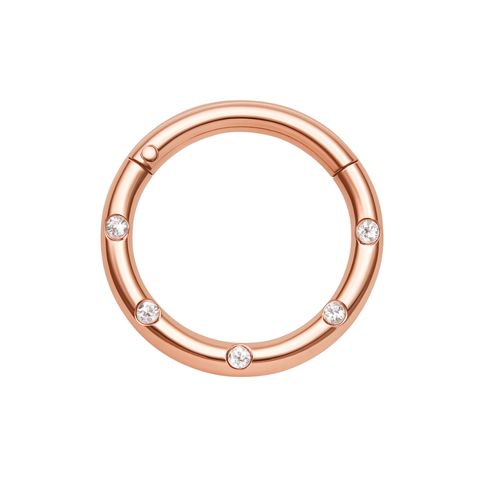 316L Surgical Steel 5 CZ Stones Paved Hinged Segment Clicker Ring - Monster Piercing