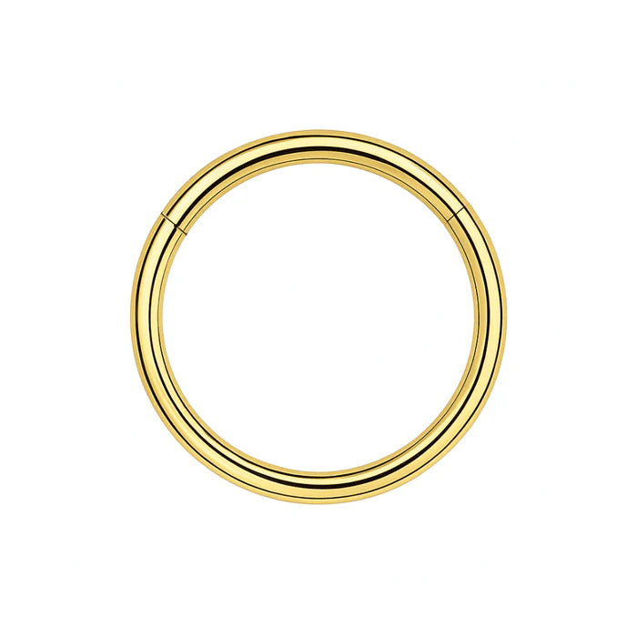 G23 Titanium Classic Hinged Segment Clicker Ring