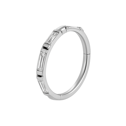 316L Surgical Steel Inlay Crystal Hinged Clicker Segment Ring - Monster Piercing