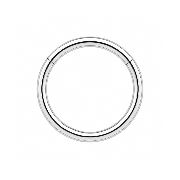 316L Surgical Steel 16G Hinged Segment Clicker Ring