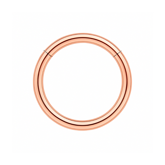316L Surgical Steel 16G Hinged Segment Clicker Ring