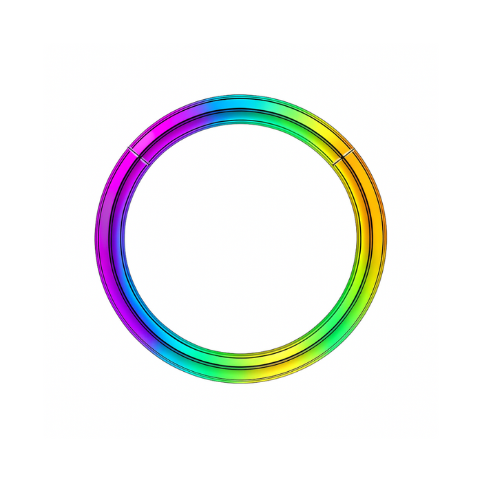 316L Surgical Steel 16G Hinged Segment Clicker Ring