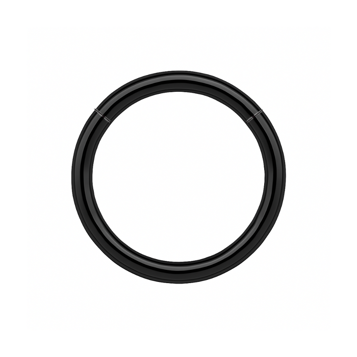 316L Surgical Steel 16G Hinged Segment Clicker Ring