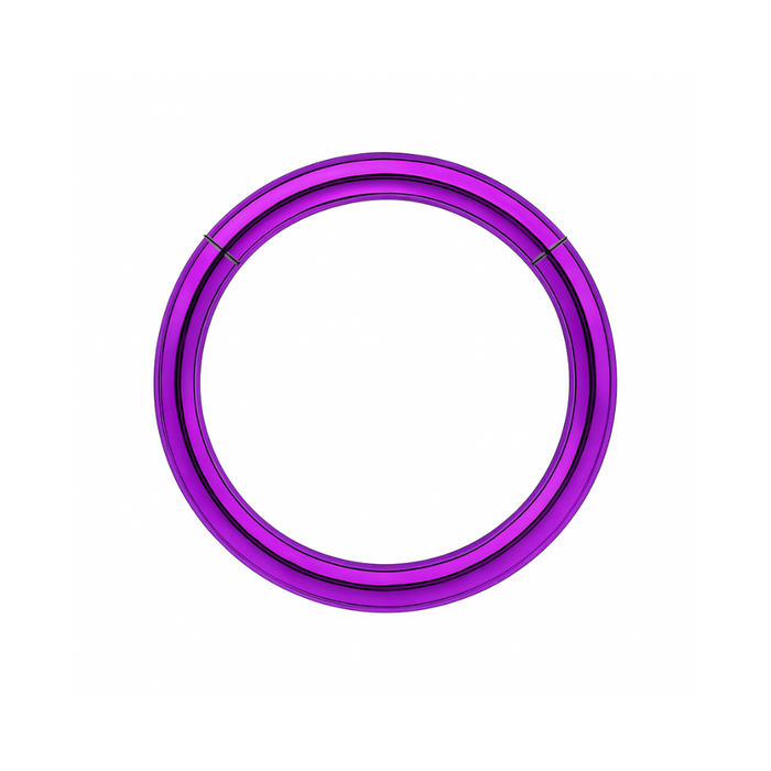 316L Surgical Steel 16G Hinged Segment Clicker Ring