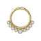 316L Surgical Steel and CZ Stones in Bezel Set Hinged Segment Ring