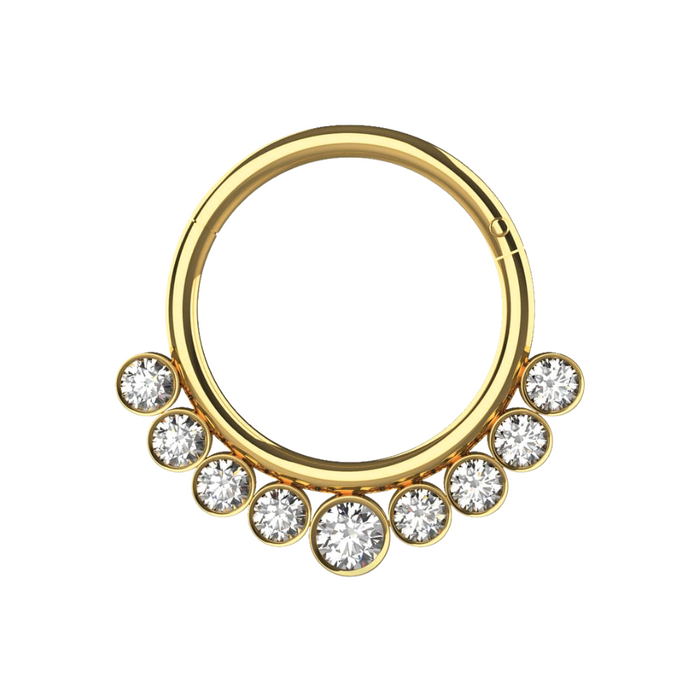 316L Surgical Steel and CZ Stones in Bezel Set Hinged Segment Ring - Monster Piercing
