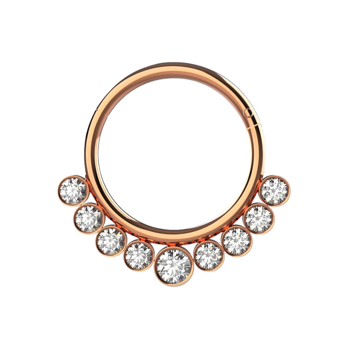 316L Surgical Steel and CZ Stones in Bezel Set Hinged Segment Ring - Monster Piercing