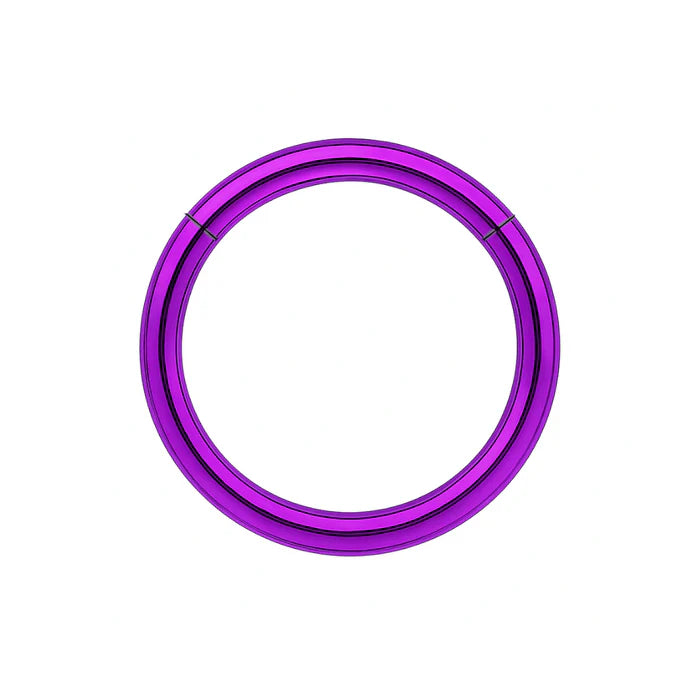 316L Surgical Steel 16G Hinged Segment Clicker Ring