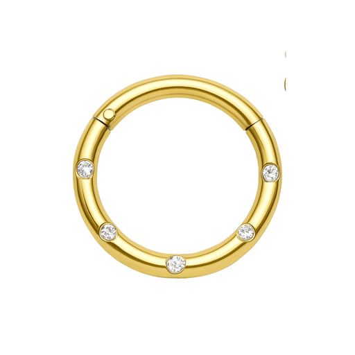 316L Surgical Steel 5 CZ Stones Paved Hinged Segment Clicker Ring - Monster Piercing