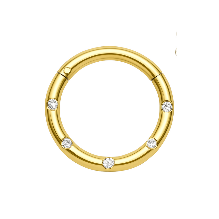 316L Surgical Steel 5 CZ Stones Paved Hinged Segment Clicker Ring - Monster Piercing