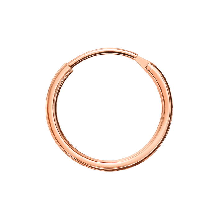 14K Gold Segment Hoop Nose Ring - Monster Piercing