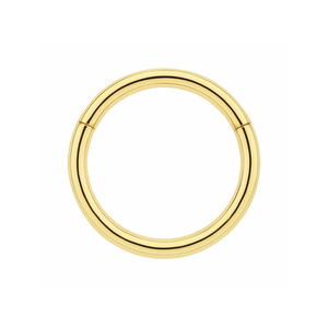 9K Gold Classic Hinged Segment Clicker Ring - Monster Piercing
