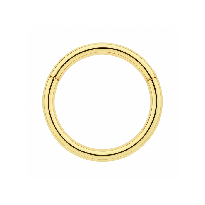9K Gold Classic Hinged Segment Clicker Ring - Monster Piercing