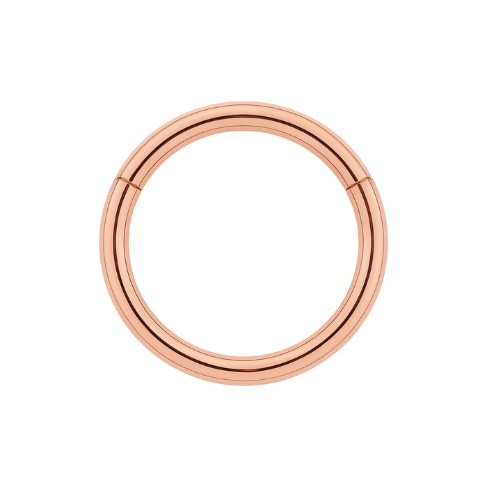 9K Gold Classic Hinged Segment Clicker Ring - Monster Piercing