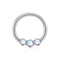 G23 Titanium Tri-Jewelled Hinged Segment Clicker Ring