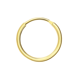 14K Gold Segment Hoop Nose Ring