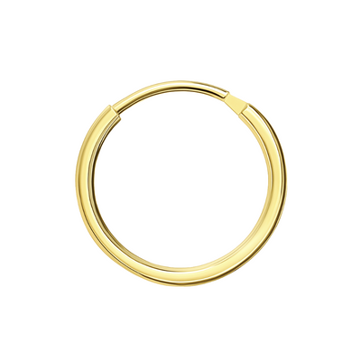 14K Gold Segment Hoop Nose Ring - Monster Piercing