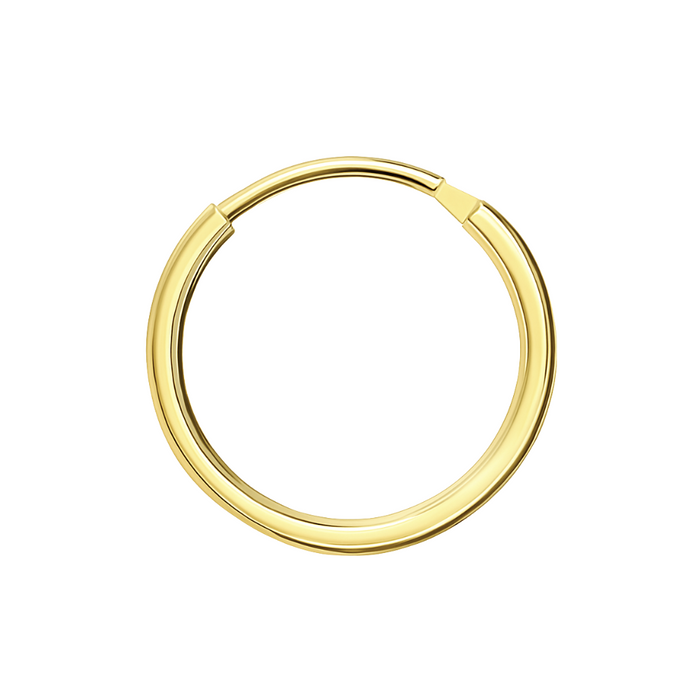 14K Gold Segment Hoop Nose Ring - Monster Piercing