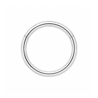 9K Gold Classic Hinged Segment Clicker Ring