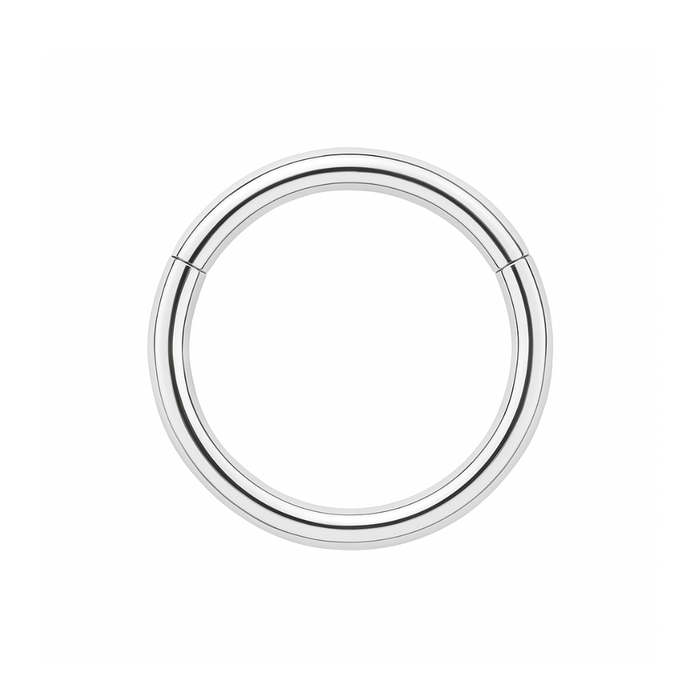 9K Gold Classic Hinged Segment Clicker Ring - Monster Piercing