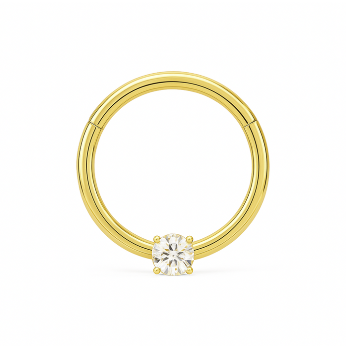 9K Gold Single Cubic Zirconia Hinged Segment Clicker Ring - Monster Piercing