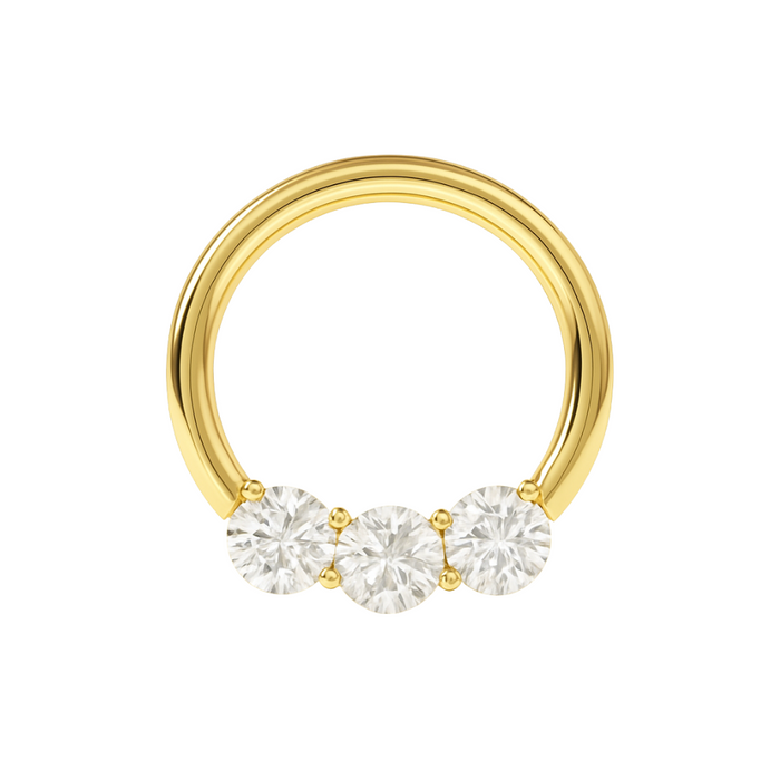 G23 Titanium Tri-Jewelled Hinged Segment Clicker Ring - Monster Piercing