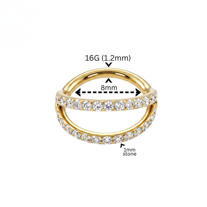 G23 Titanium Double Row CZ Hinged Segment Clicker