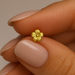 9K Gold | 14K Gold  Flower L-Shape Nose Stud - Monster Piercing