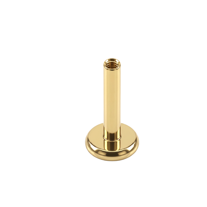 G23 Titanium Internally Threaded Labret Bar