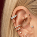 G23 Titanium Double Row CZ Jewelled Hinged Clicker Segment Ring Monster Piercing United Kingdom