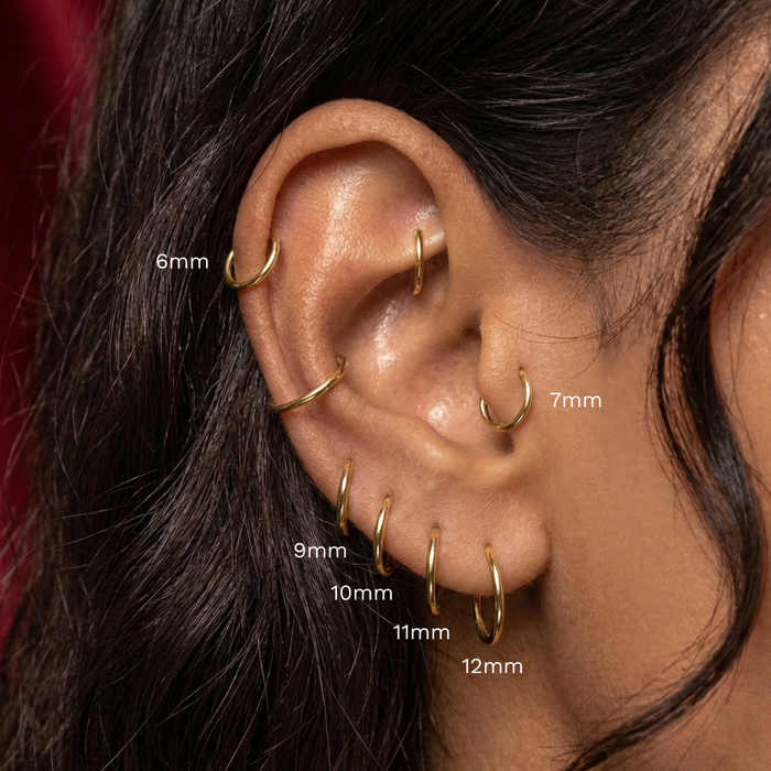 G23 Titanium Classic Hinged Segment Clicker Ring