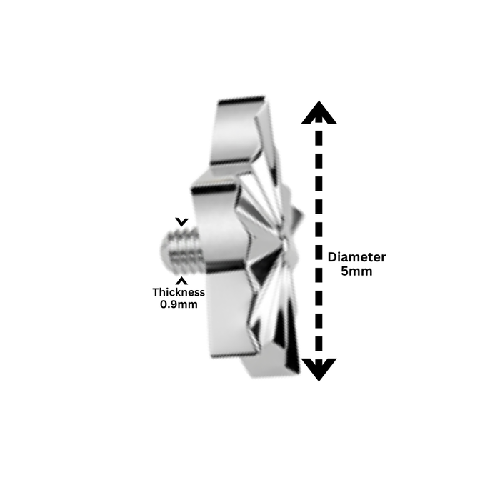 G23 Titanium Diamond Cut Star Tragus Top
