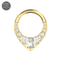 G23 Titanium Teardrop Cubic Zirconia Studded Flat Hinged Segment Clicker Ring