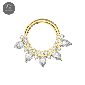 G23 Titanium Cubic Zirconia Studded Marquise Tiara Hinged Segment Clicker Ring