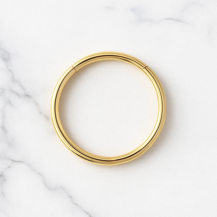 316L Surgical Steel 20G Hinged Segment Clicker Ring - Monster Piercing