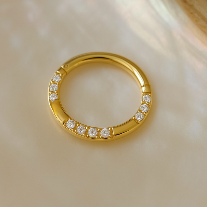 9K Gold Cubic Zirconia Hinged Segment Clicker Ring - Monster Piercing
