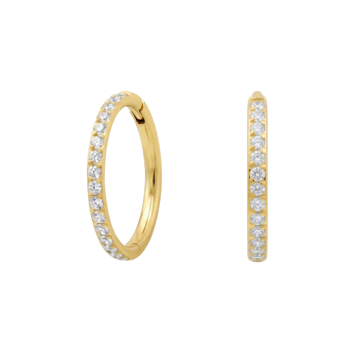 G23 Titanium Micro Setting CZ Stones in Hinged Clicker Earrings Pair