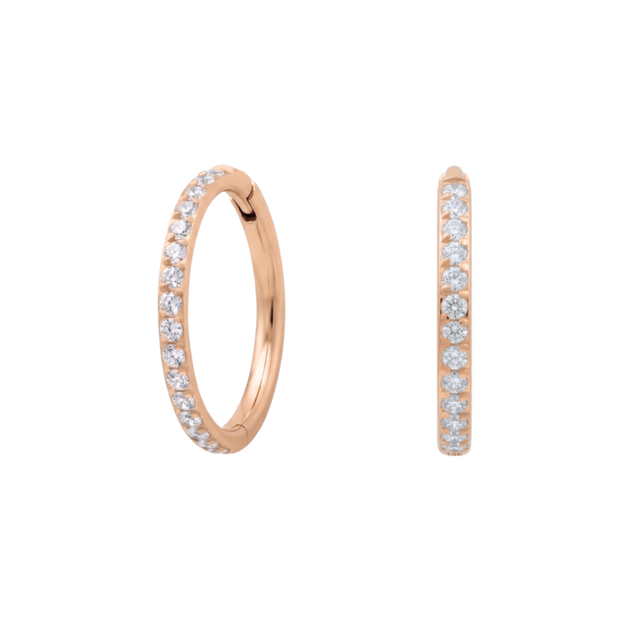 G23 Titanium Micro Setting CZ Stones in Hinged Clicker Earrings Pair