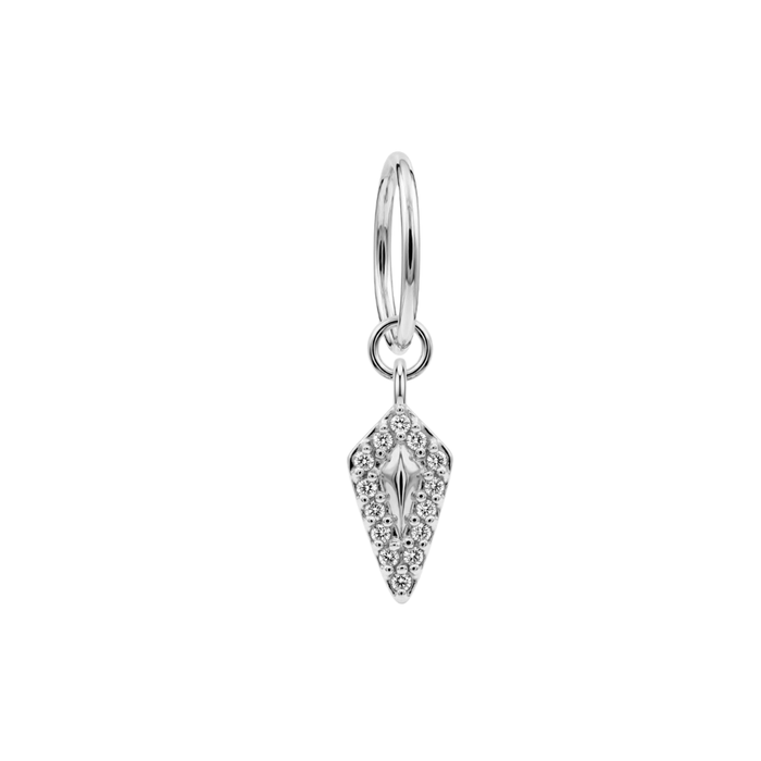 316L Chirurgenstahl CZ Juwelen Drachen-Tropfen Scharnier-Clicker