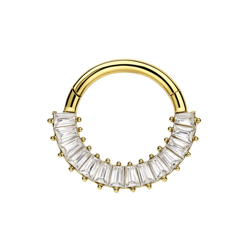 316L Surgical Steel CZ Jewelled 316L Hinged Segment Clicker Ring - Monster Piercing