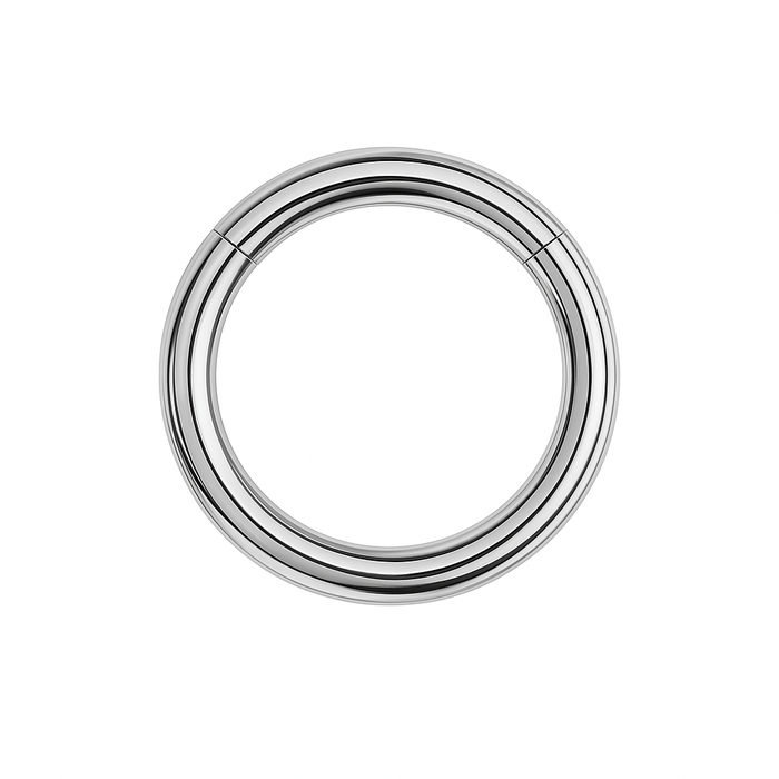 G23 Titanium Heavy Gauge Classic Hinged Segment Clicker Ring - Monster Piercing