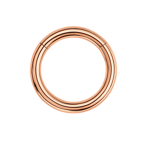 G23 Titanium Heavy Gauge Classic Hinged Segment Clicker Ring - Monster Piercing